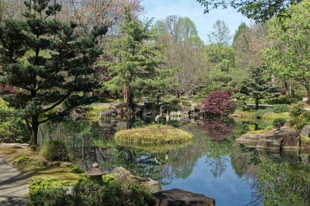 Foto de Ball Ground, Georgia USA - April 11, 2018  Japanese pond garden in Gibbs Gardens, Georgia full of a variety of plants and trees placed for visual appeal with garden statues all reflecting in the pond on a bright sunny day in springtime - Imagen libre de derechos