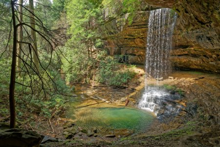 Téléchargez les photos : Vue complète de la cascade Northrup se déversant sur la paroi rocheuse plongeant dans une piscine de couleur turquoise cristalline entourée de rochers dans la forêt par une journée ensoleillée au printemps - en image libre de droit