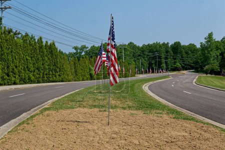 Téléchargez les photos : Plusieurs drapeaux américains pleine grandeur alignés au milieu de la route comme symbole pour les célébrations du 4 juillet par une journée ensoleillée en été - en image libre de droit