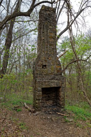 Téléchargez les photos : Vue rapprochée d'une ancienne cheminée et d'une ancienne ferme encore debout depuis longtemps entourée d'arbres dans les montagnes du Tennessee - en image libre de droit
