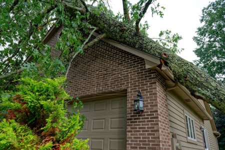 From a micro-burst or sheer winds uprooted a solid oak tree during a bad storm falling on a house on the garage portion crushing the roof and other parts closeup view in summertime