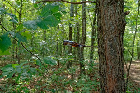 Foto de A lo largo del sendero en el bosque hay una botella de cerveza descartada en una rama de árbol que contamina el medio ambiente en verano. - Imagen libre de derechos