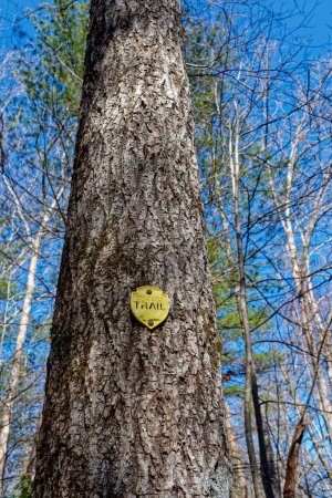 Téléchargez les photos : Un marqueur de sentier en plastique jaune cloué à un grand arbre qui identifie le sentier et la direction à suivre dans le parc d'État de Cumberland Mountain vue rapprochée par une journée ensoleillée en hiver - en image libre de droit
