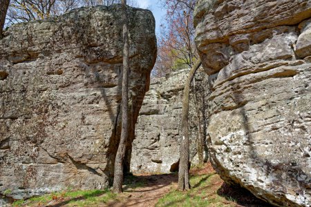 Hiking on a trail through the large boulders on ground level on a bright sunny in early spring at Black mountain in Tennessee