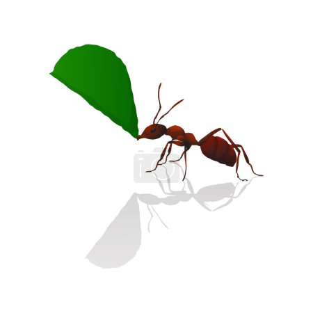 Brown ant holding a green leaf, isolated vector illustration