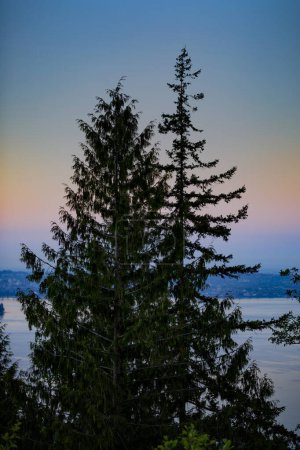Silhouette von Nadelbäumen in der Dämmerung in der Cypress Bowl; West Vancouver, British Columbia, Kanada