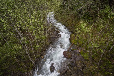 Vista aérea del agua corriendo en un arroyo a través de los bosques a lo largo de una ruta en coche desde Terrance, al este hasta Prince George en la autopista 16 (Highway of Tears); Columbia Británica, Canadá