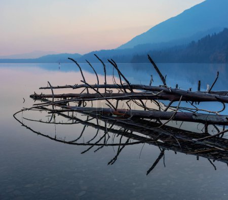 Foto de Árboles muertos tendidos en aguas poco profundas del lago al amanecer con bosques de siluetas y montañas al fondo; Lago Cultus, Columbia Británica, Canadá - Imagen libre de derechos