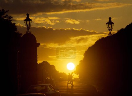Foto de Sunset In Phoenix Park, Dublin City, County Dublin, Ireland - Imagen libre de derechos