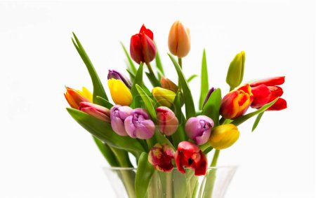 Foto de Primer plano de un ramo de tulipanes en un jarrón de vidrio sobre un fondo blanco - Imagen libre de derechos