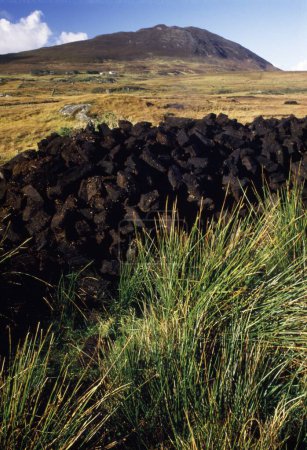 Traditional Turf Stockpile; Tully Mountain County Galway Ireland