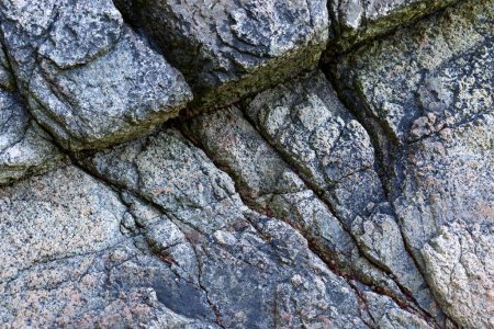 Detail of rock face in Whytecliff Park near Horseshoe Bay; West Vancouver, British Columbia, Canada