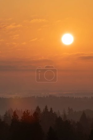 Helle, heiße Sonne in einem orangen und goldenen, nebeligen Himmel über silhouettierten Bäumen während einer Hitzewelle, Home Skies of British Columbia; British Columbia, Kanada