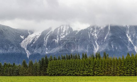 Foto de Montañas rocosas canadienses y exuberante bosque verde con un cielo nublado, Harrison Hot Springs; Columbia Británica, Canadá - Imagen libre de derechos
