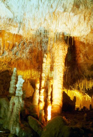 Foto de Castleisland, Co Kerry, Irlanda, Crag Cave - Imagen libre de derechos