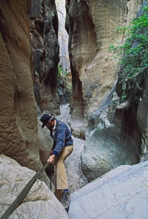Adult Male Rappelling In Orderville Canyon, Zion National Park, Utah, Usa