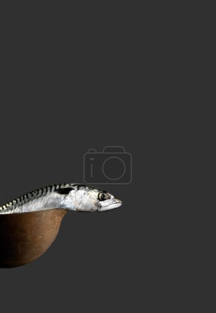 Foto de Primer plano de un pez caballa muerto sacando la cabeza de un cucharón oxidado sobre un fondo oscuro - Imagen libre de derechos