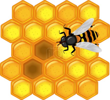 una ilustración vectorial brillante de panal dorado con abeja