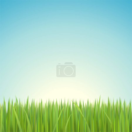 Illustration for Clear blue sky with green grass. - Royalty Free Image