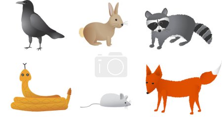 Illustration for Prairie animals including crow, rabbit, raccoon, rattle snake, field mouse, and fox.    Each animal on separate vector layer for easy editing and separation. - Royalty Free Image