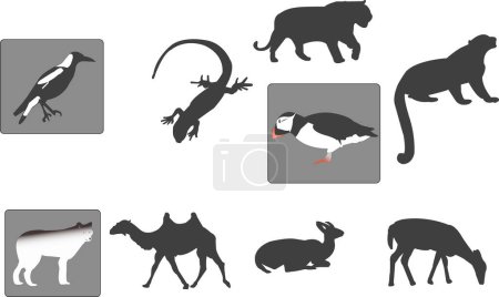 Téléchargez les illustrations : Plusieurs illustrations animales et silhouettes, peuvent être utilisées séparément - en licence libre de droit