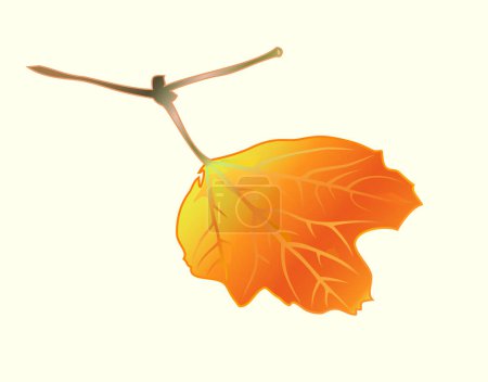 Illustration for Utumnal leaf. Sunnyr joyful beautiful day. Vector. image - vector illustration - Royalty Free Image