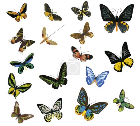 Ilustración de Muchas mariposas multicolores sobre un fondo blanco - Imagen libre de derechos