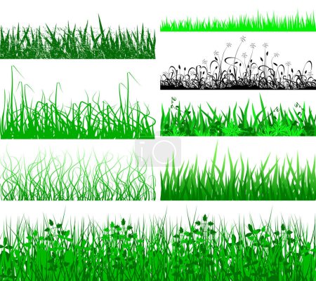 Illustration for Selection of vector grassy verges and foregrounds - Royalty Free Image