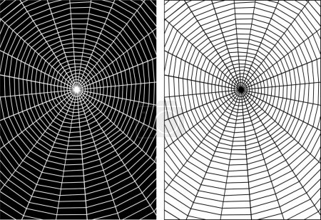 Téléchargez les illustrations : Illustration vectorielle d'une toile d'araignée d'orbe - en licence libre de droit