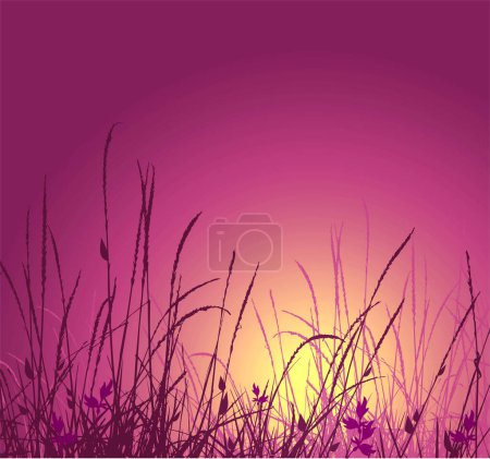 Téléchargez les illustrations : Silhouette vectorielle herbe et coucher de soleil. Idéalement pour votre utilisation dans desig - en licence libre de droit