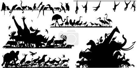 Ilustración de Conjunto de vectores editables contorno de animales en primer plano con cada animal como un objeto separado - Imagen libre de derechos