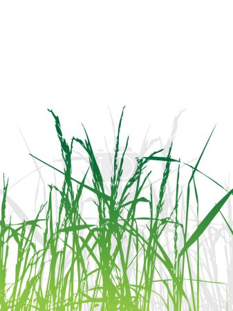 Téléchargez les illustrations : Silhouette en herbe verte, fond d'été - en licence libre de droit