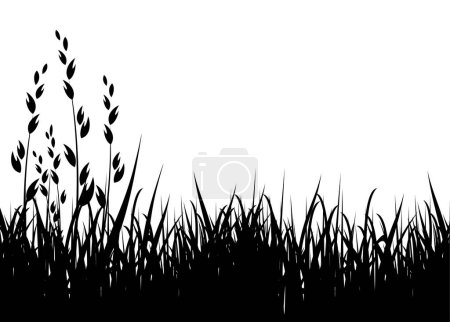 Téléchargez les illustrations : Illustration vectorielle herbe / silhouette horizontale / noire - en licence libre de droit