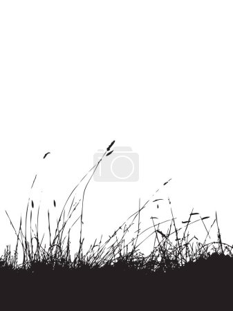 Ilustración de Silueta de hierba negro, fondo - Imagen libre de derechos