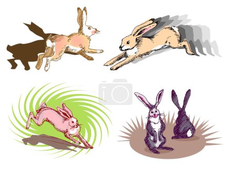 Téléchargez les illustrations : Illustration, vecteur pour un lapin en marche - en licence libre de droit