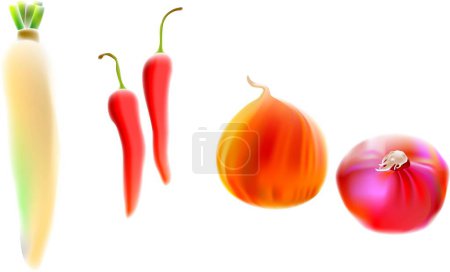 Illustration for Illustration, vector for a variety of vegetables, radish, chili, onion - Royalty Free Image