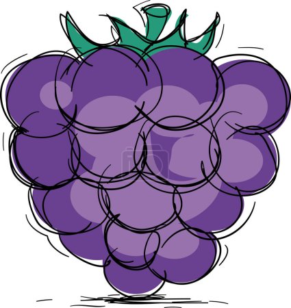 Illustration for Blackberry icon, vector illustration - Royalty Free Image