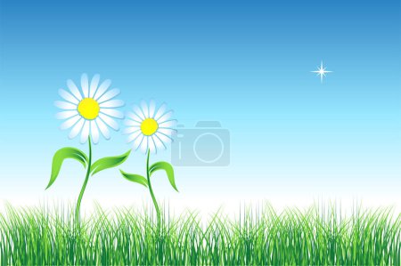 Illustration for Camomile on green field - Royalty Free Image