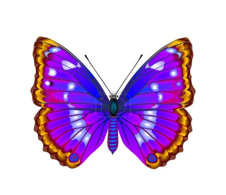 Illustration for Tropical butterfly image - vector illustration - Royalty Free Image