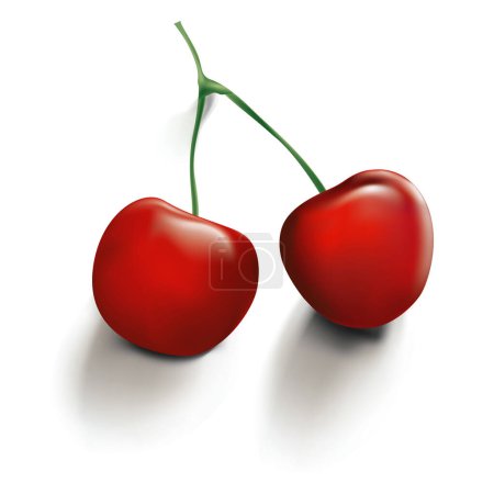 Ilustración de ¡Una ilustración vectorial de un par de cerezas rojas jugosas! El efecto 3D se logra utilizando Mesh Tool en Illustrator. Se puede abrir usando Illustrator V8 y superior. - Imagen libre de derechos