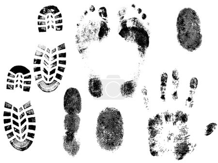 Ilustración de A collections of Vector HandPrints, Fingerprints, Footprints, and Shoeprints (en inglés). Todos agrupados y en capas separadas - Imagen libre de derechos