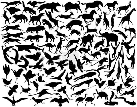 Téléchargez les illustrations : Collection de silhouettes vectorielles d'un large éventail d'animaux actifs - en licence libre de droit