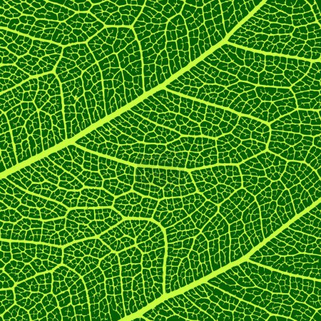 Illustration for Vector leaves macro texture - Royalty Free Image