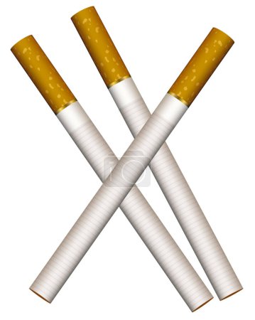 Téléchargez les illustrations : Illustration vectorielle de trois cigarettes sur fond blanc - en licence libre de droit