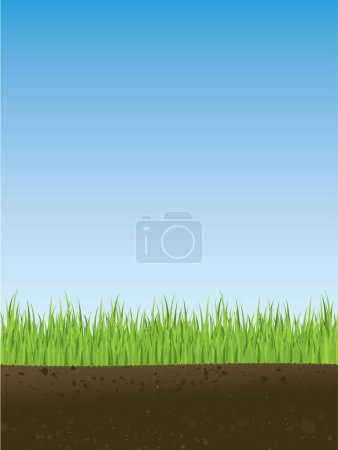 Ilustración de Sección transversal de hierba de primavera. La ilustración es perfecta y puede ser alicatada. - Imagen libre de derechos
