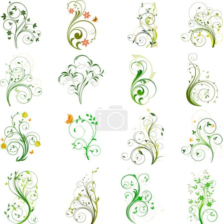 Set of floral elements vector