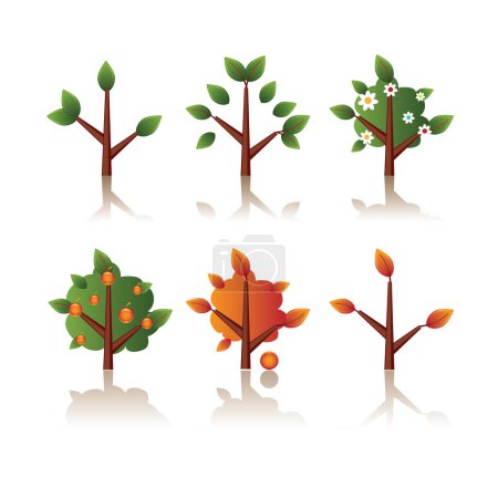 Illustration for Set of icons tree, seasons - Royalty Free Image