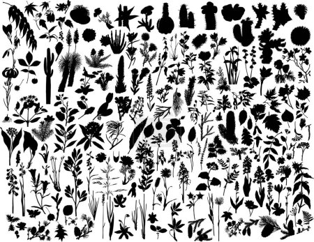 Ilustración de Gran colección de diferentes siluetas de plantas vectoriales - Imagen libre de derechos