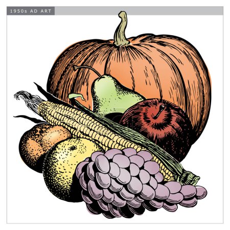 Téléchargez les illustrations : Récolte vintage de fruits et légumes de style gravé dans les années 1950 ; détails noir et blanc à partir de carton à gratter authentique dessiné à la main comprend une colorisation complète - en licence libre de droit