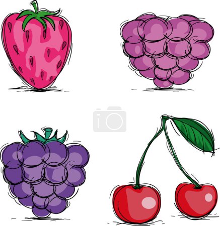 Illustration for Four berry icons, vector illustration - Royalty Free Image